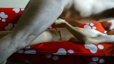 Cewek Manis Asyik Pakai Mainan Live Langsung Crot